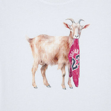 JDK MJ FLIGHT GOAT SS CREW