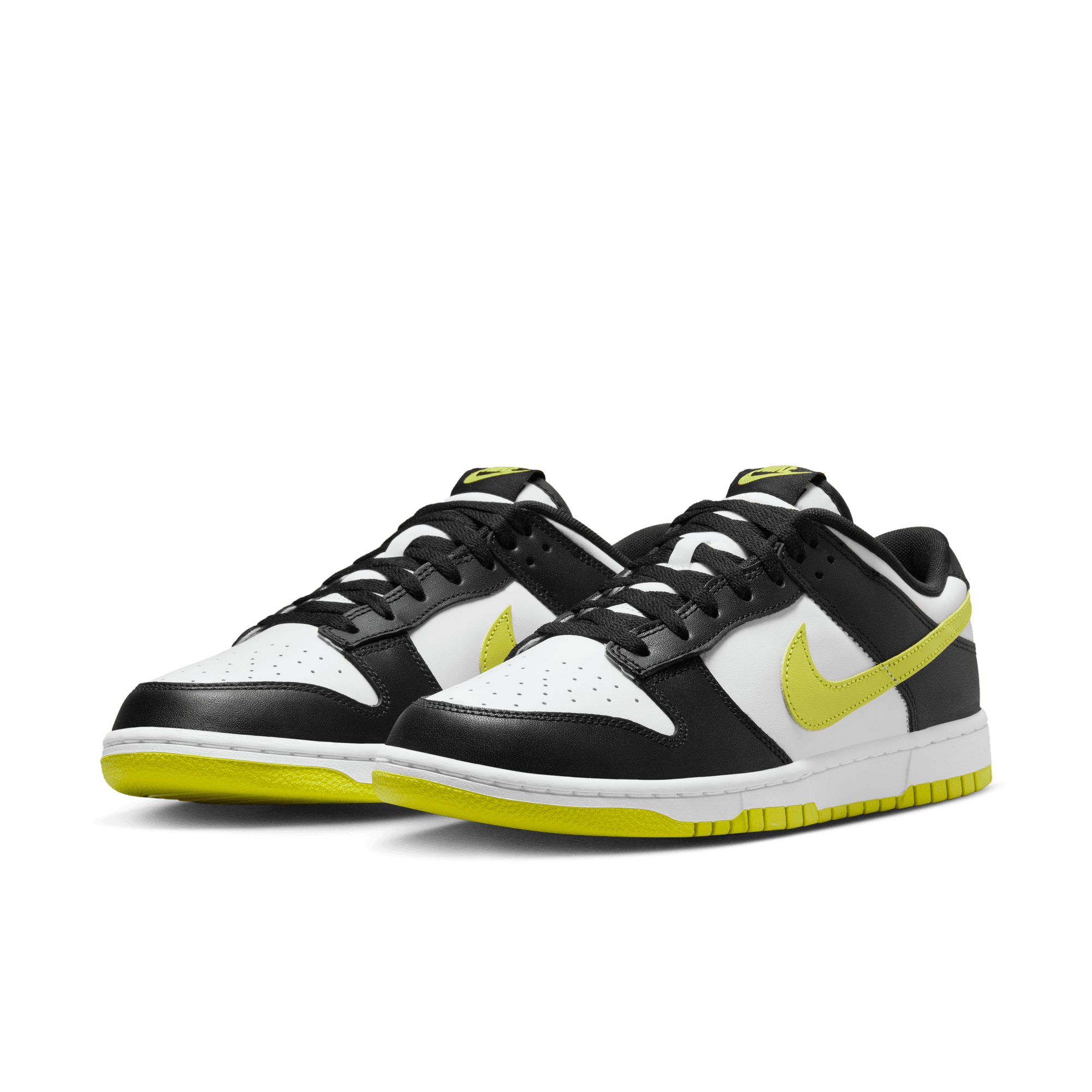 NIKE DUNK  LOW RETRO MEN'S SHOES