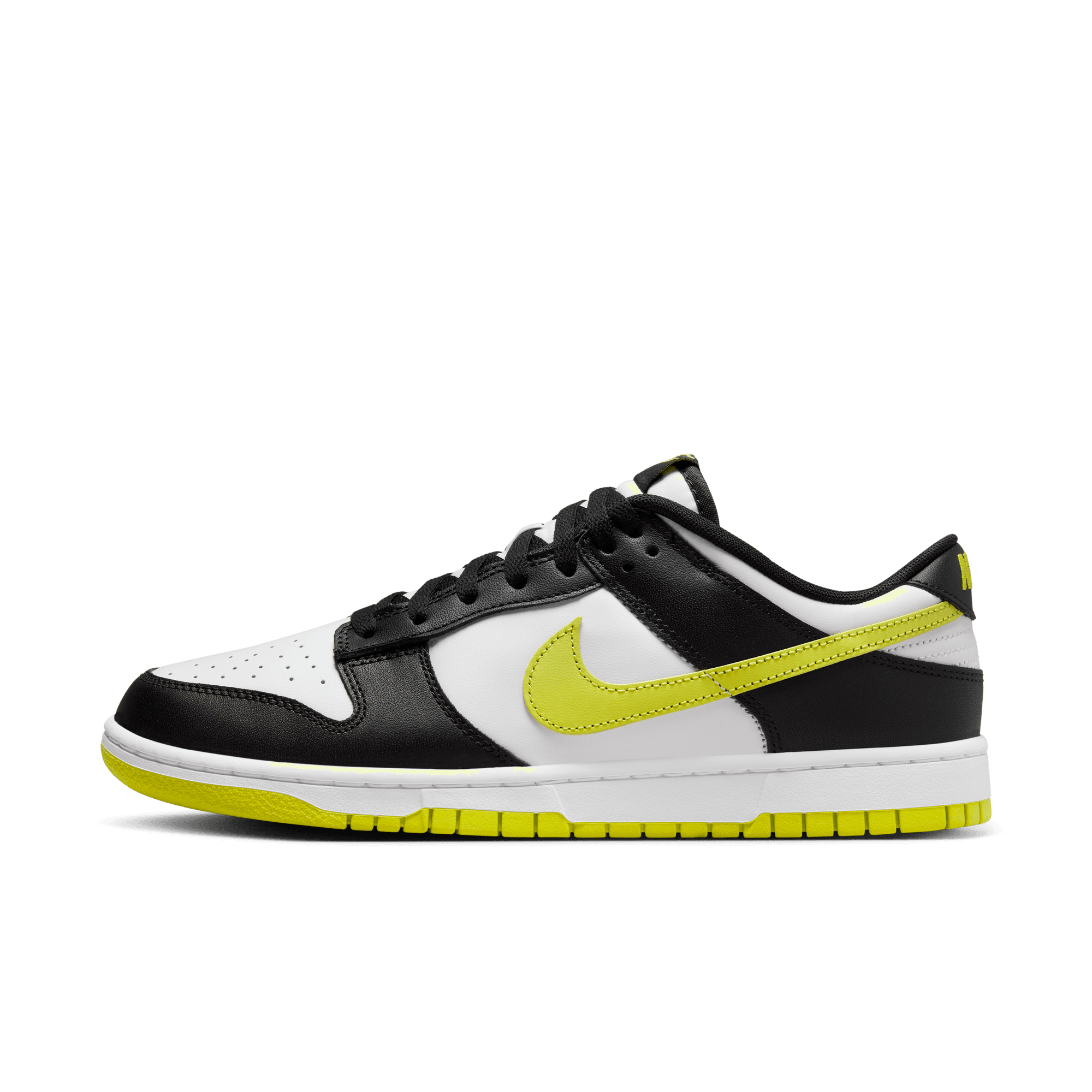 NIKE DUNK  LOW RETRO MEN'S SHOES