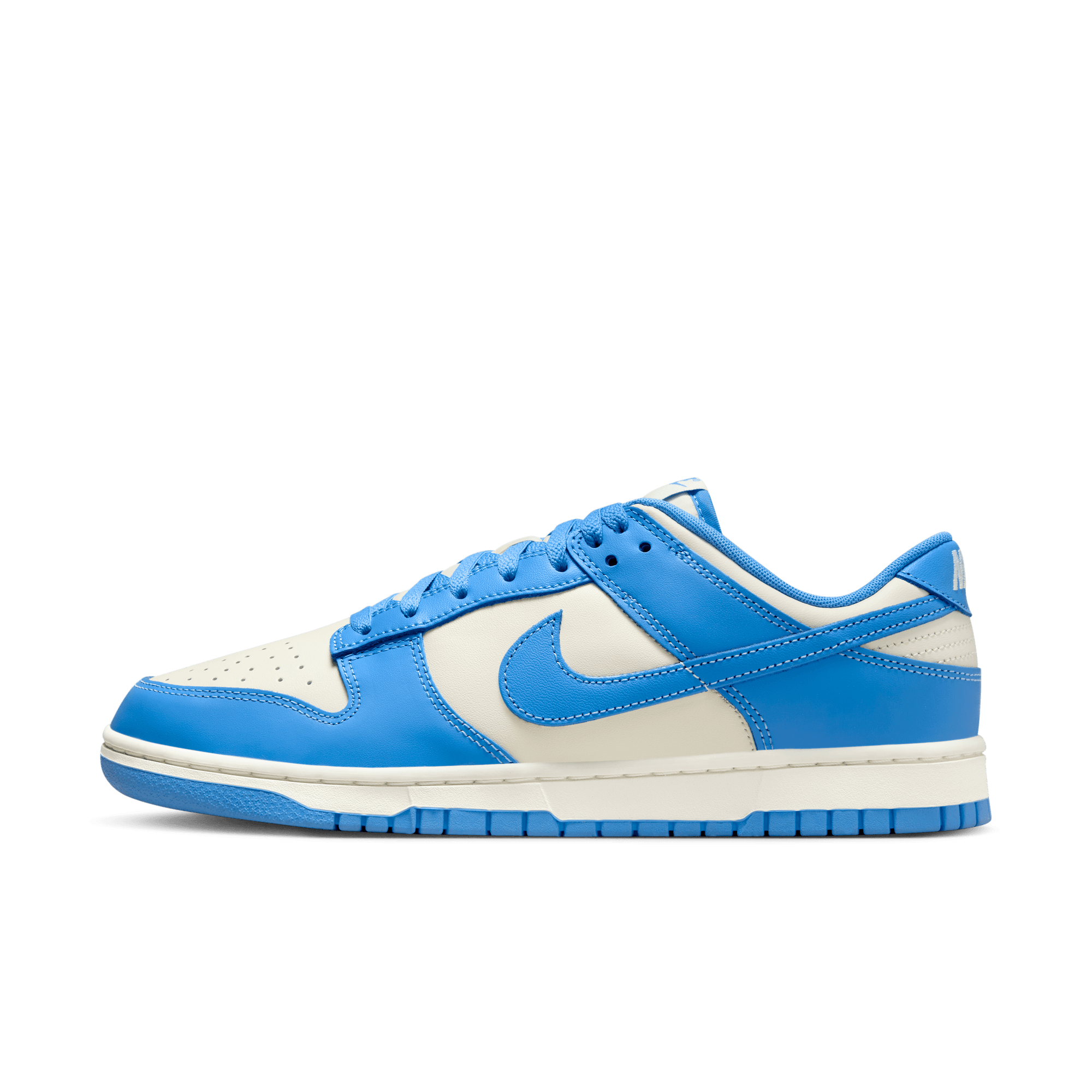 NIKE DUNK LOW RETRO MEN'S SHOES