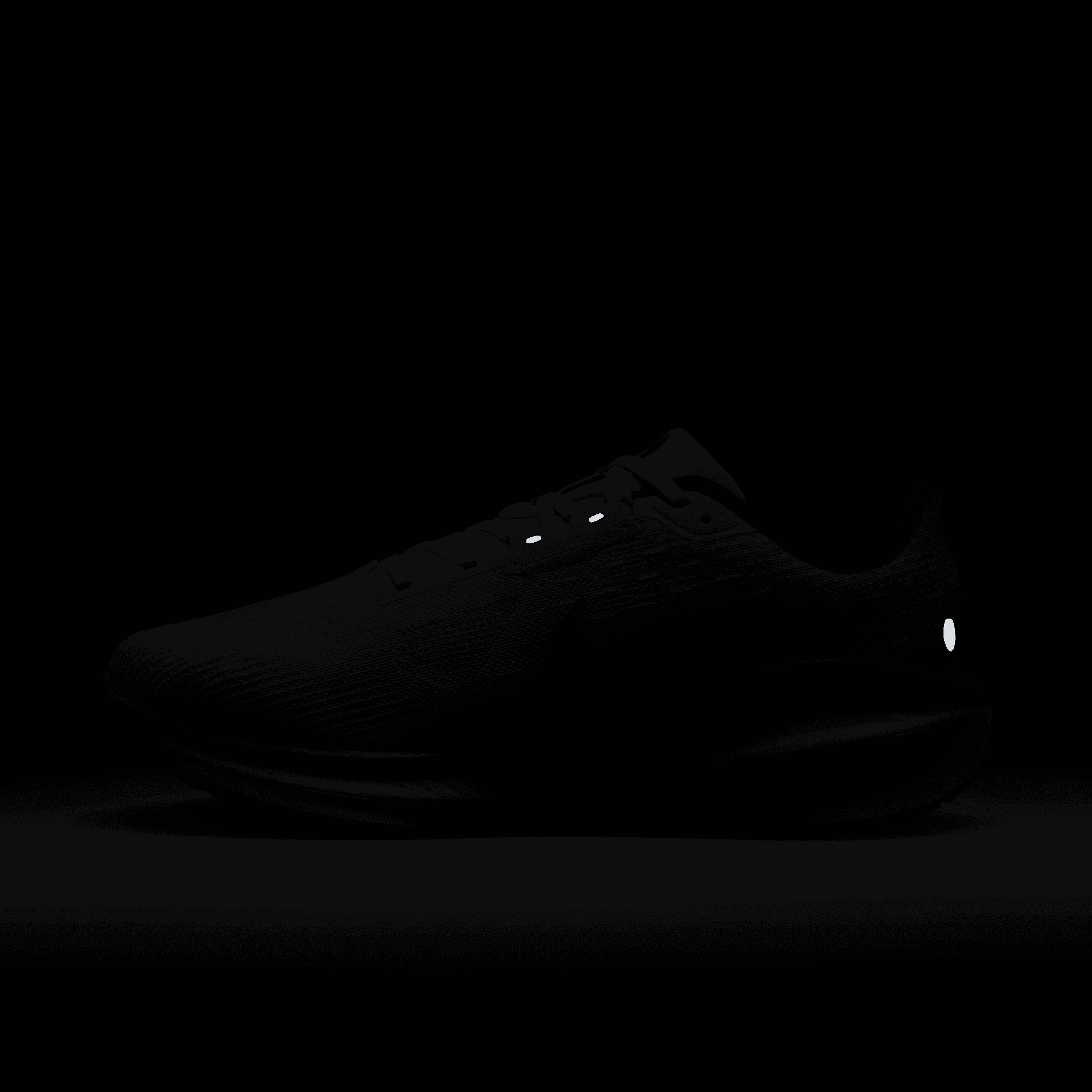 Nike 2025 vomero wide