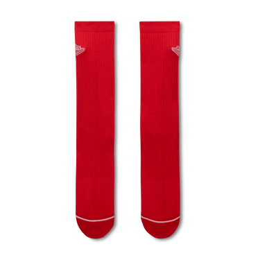 JORDAN EVERYDAY CUSHIONED CREW SOCKS (1 PAIR)