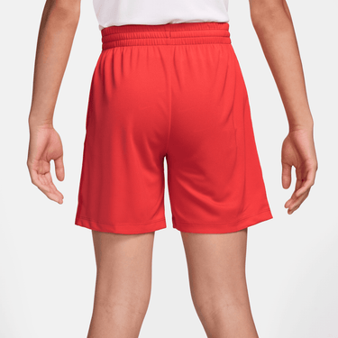 NIKE MULTI BIG KIDS' (BOYS') DRI-FIT TRAINING SHORTS