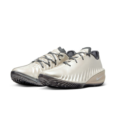 ROB DILLINGHAM NIKE G.T. CUT 4 "ROB DILLINGHAM" EP MEN'S BASKETBALL SHOES
