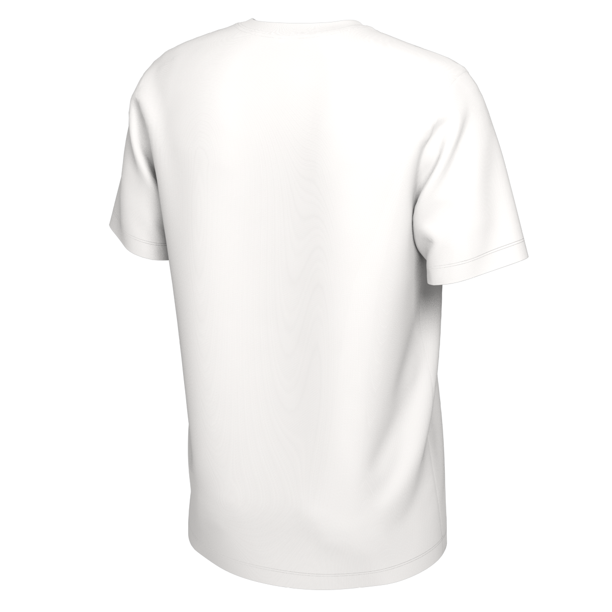 NBA CHAMP TEE PARADE 2024 BOSTON CELTICS